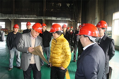 2012年(nian)1月31日(ri)，時任嘉興市(shi)委(wei)書記魯俊率領(ling)市(shi)髮(fa)改委(wei)等(deng)市(shi)級部(bu)們(men)負責人(ren)到(dao)公(gōng)司調研